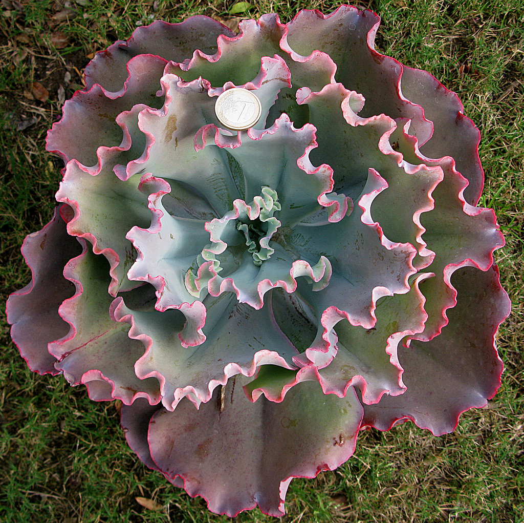 5623459495_517787e754_b.jpg
