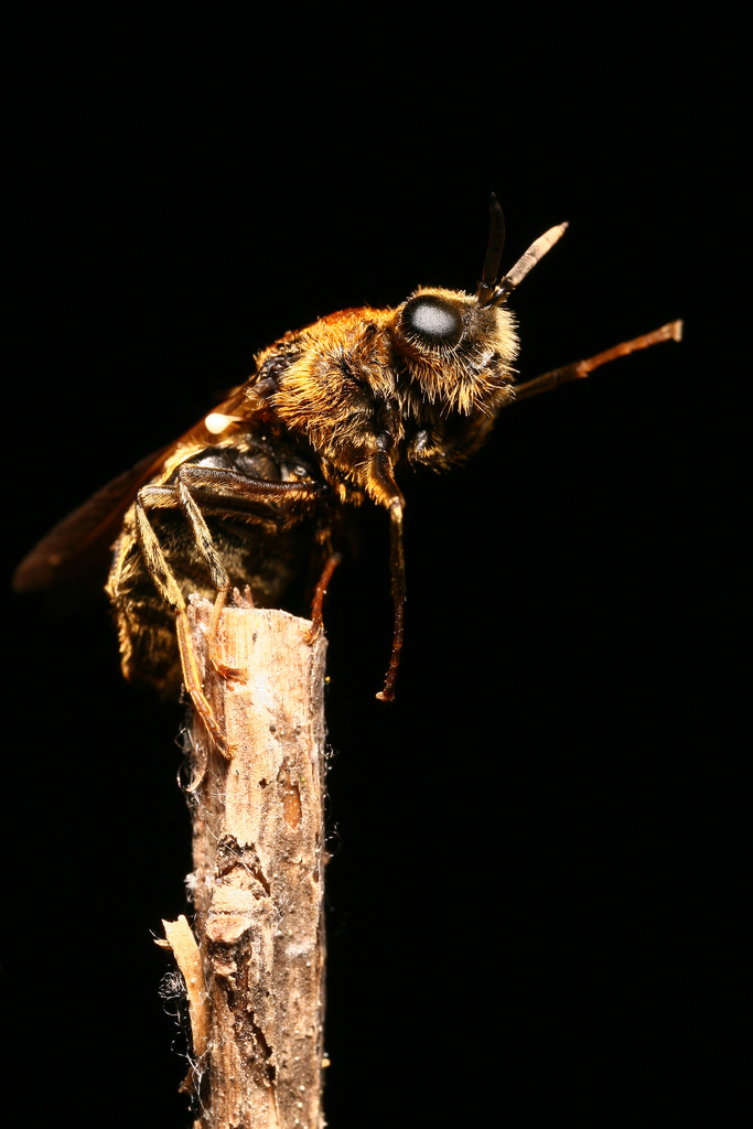 5635159858_45c37dc4ae_b.jpg