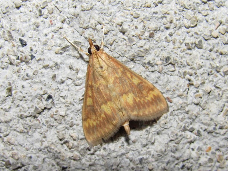 564d056dc1-65.jpg