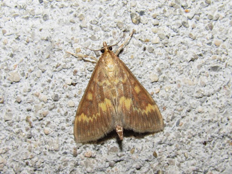 564e465d15-131.jpg