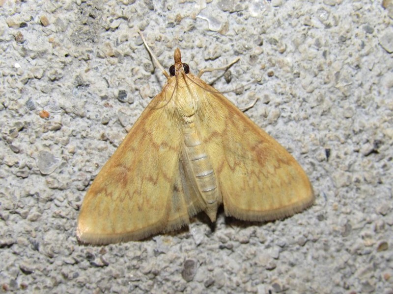 566480ac3d-1.jpg