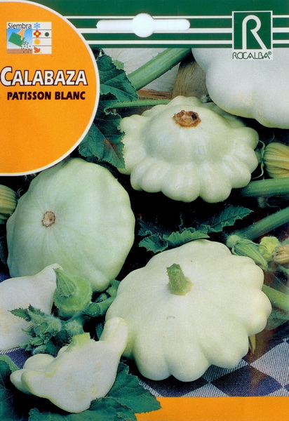 5677100calabaza_patison.jpg