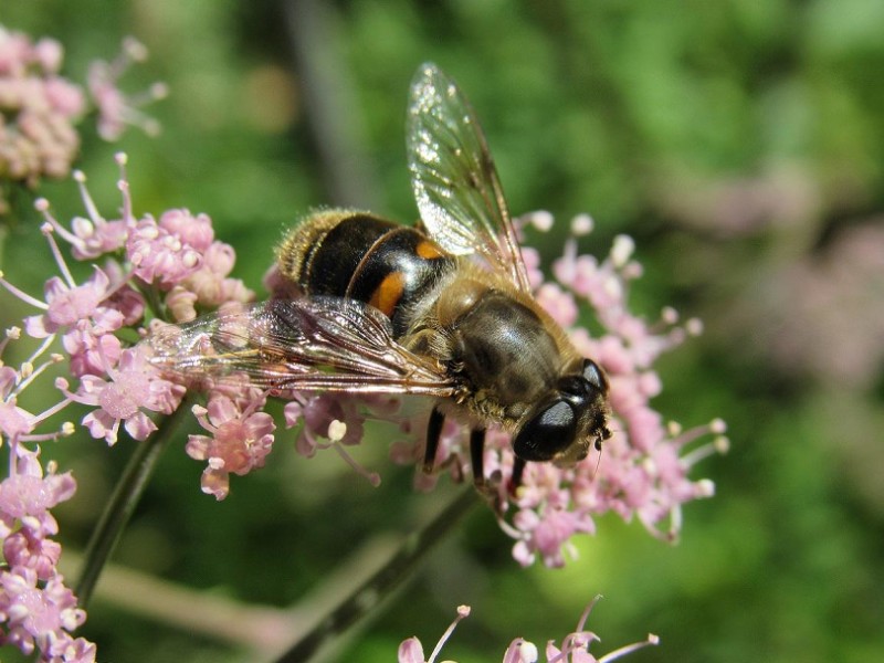 567c991062-98.jpg
