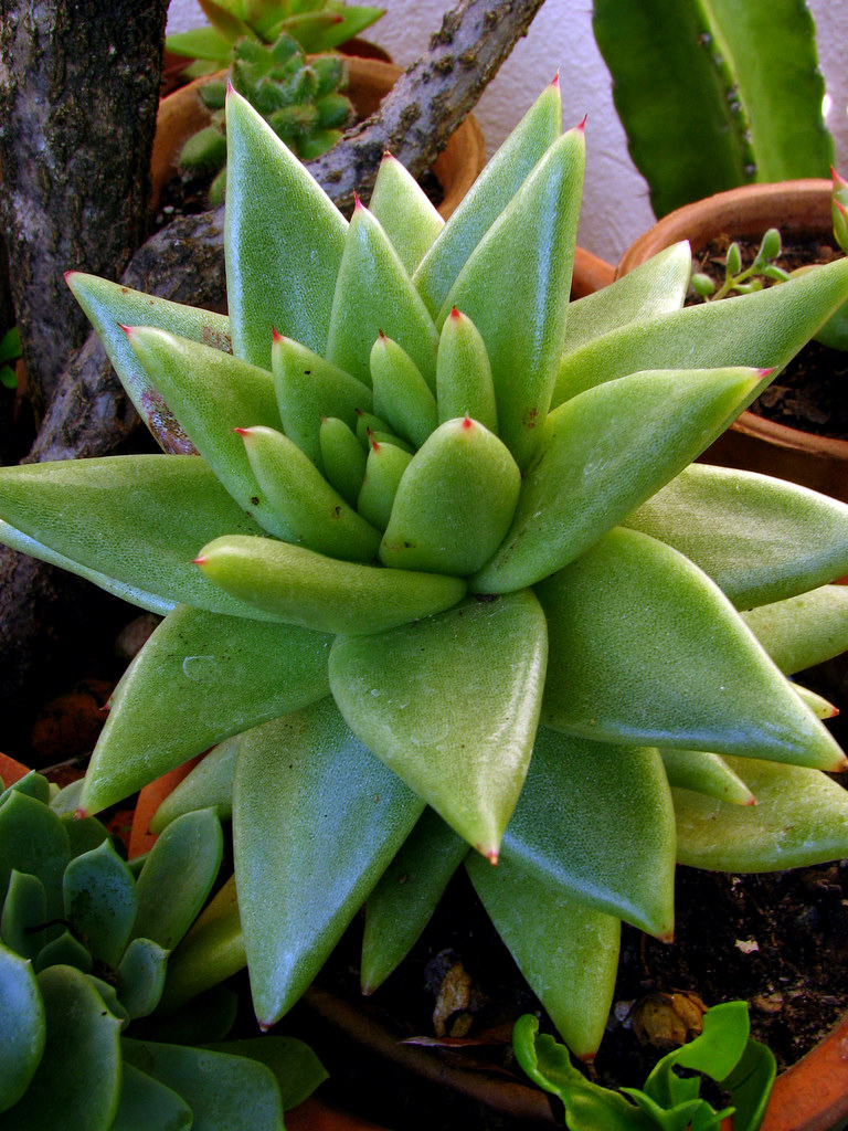 5687795874_e80a77bb38_b.jpg