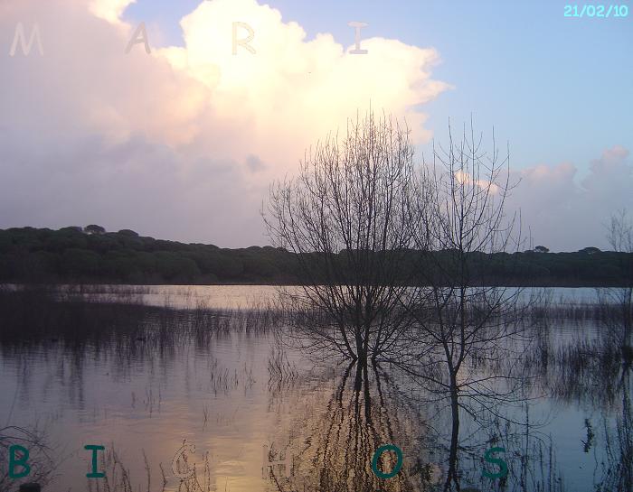 56a553f6e3edf5cce70b68705fd4e60bo.jpg