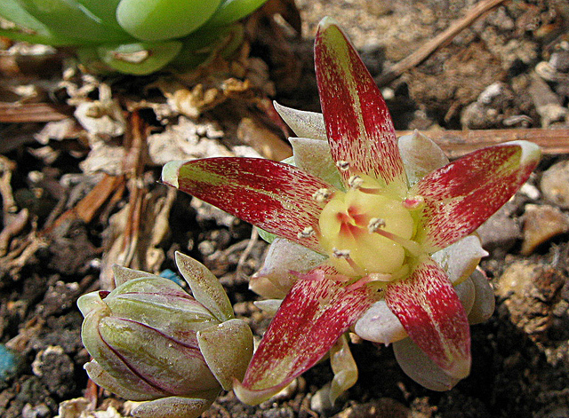 5704246011_0eab8f6926_z.jpg