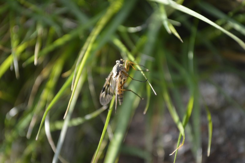 573f6cbc76-_dsc1576.jpg