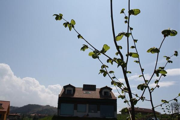 5763d1272223328t-el-jardin-de-manolete-img_0272b.jpg