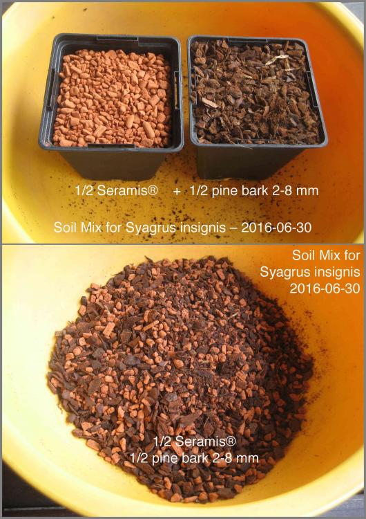 5777d86811030_SoilMixLinsigneIMG_877779.thumb.jpg