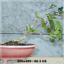 5793b72005f5104b5651603f927a9a3ao.jpg