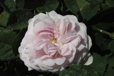 57_DSC_6740.jpg