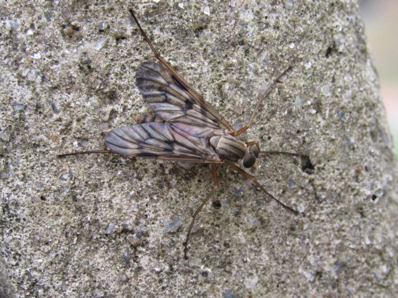 57c4661c37-75.jpg