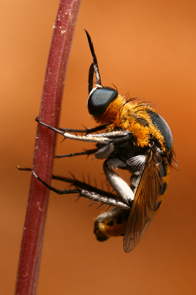 5806014755_7639470abc_b.jpg