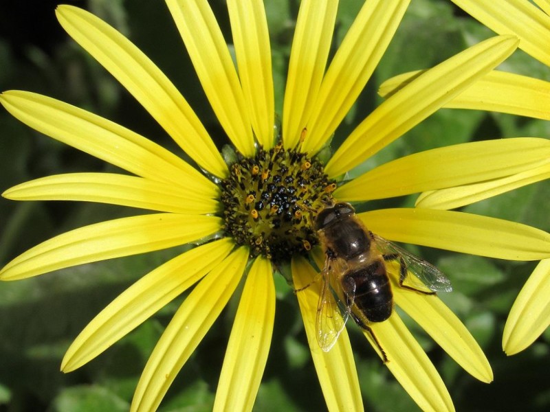 5820d86fa0-135.jpg