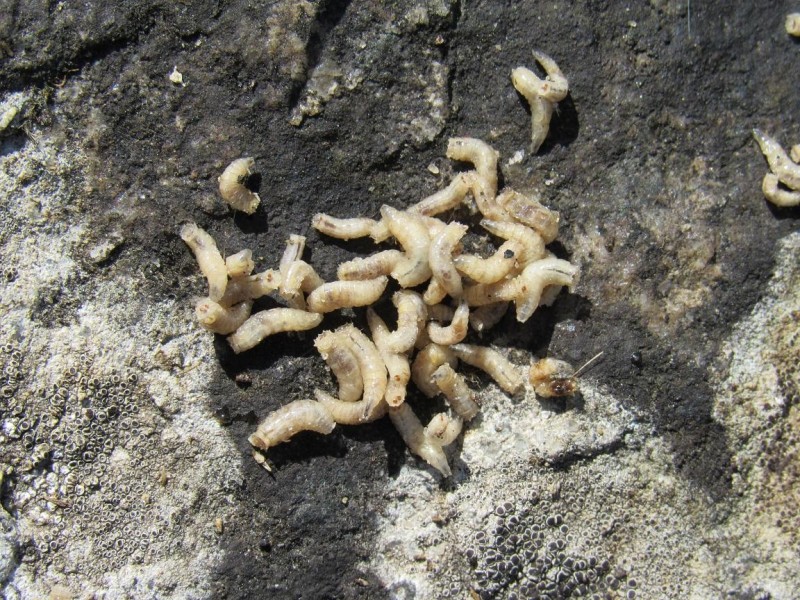 5821d49cc6-194.jpg