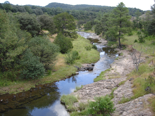 5840683.jpg