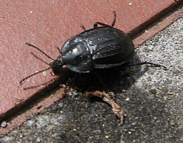5842376775_c16cae9d0a_z.jpg