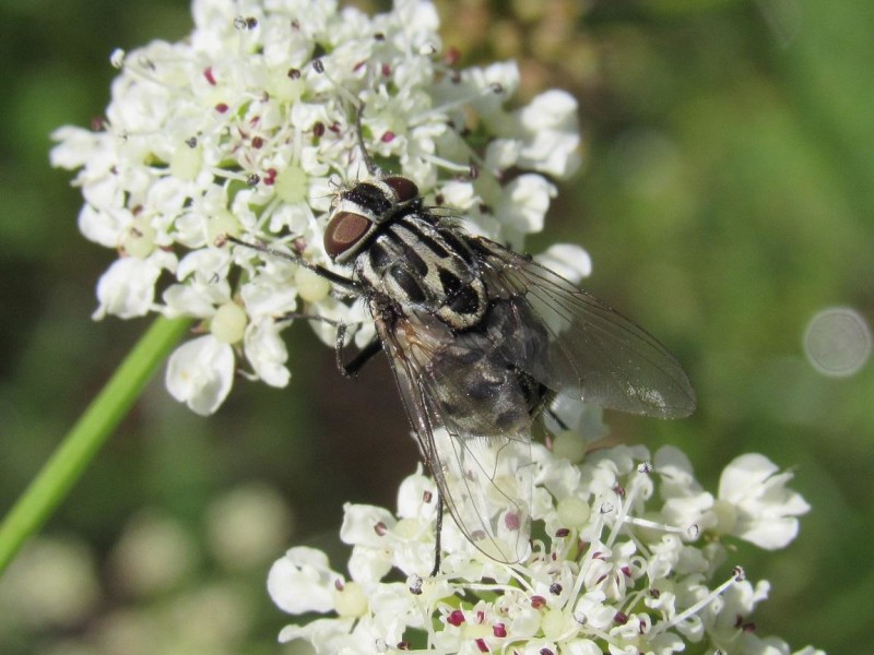 584acb456d-45.jpg