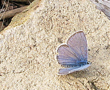 5878303106_eec62fa8d8.jpg