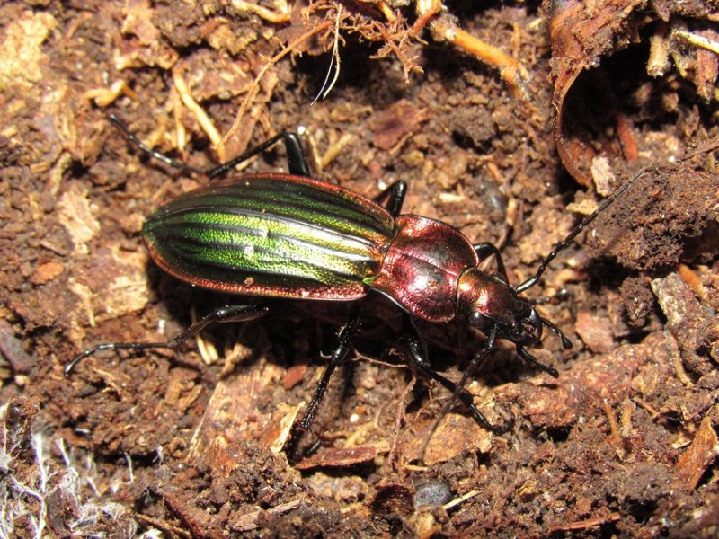 58824bbd20-170.jpg