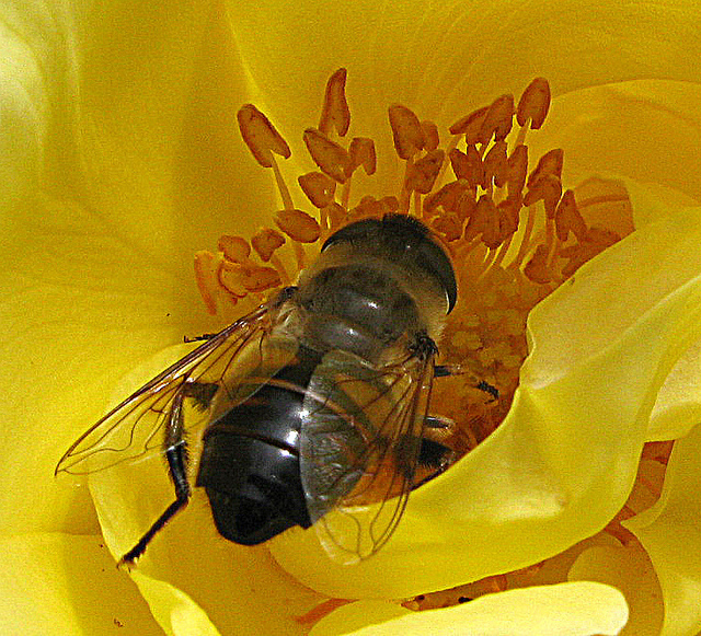 5885057777_f3111d3077_z.jpg