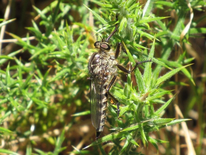 58921cd382-188.jpg