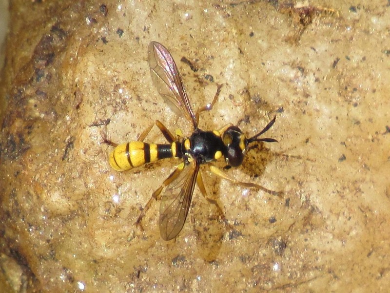 589230c5e3-261.1.jpg