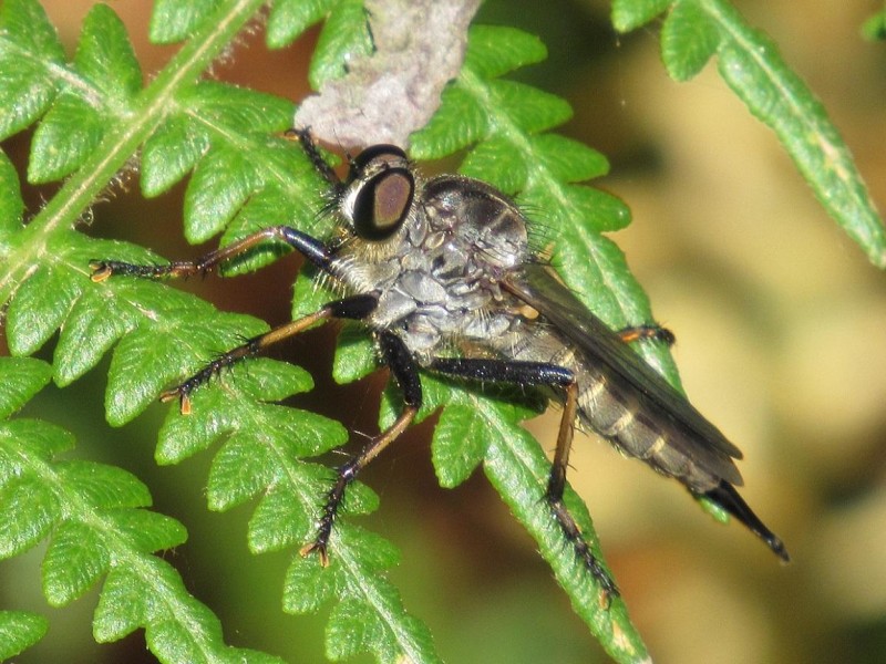 5895ee4555-64.jpg