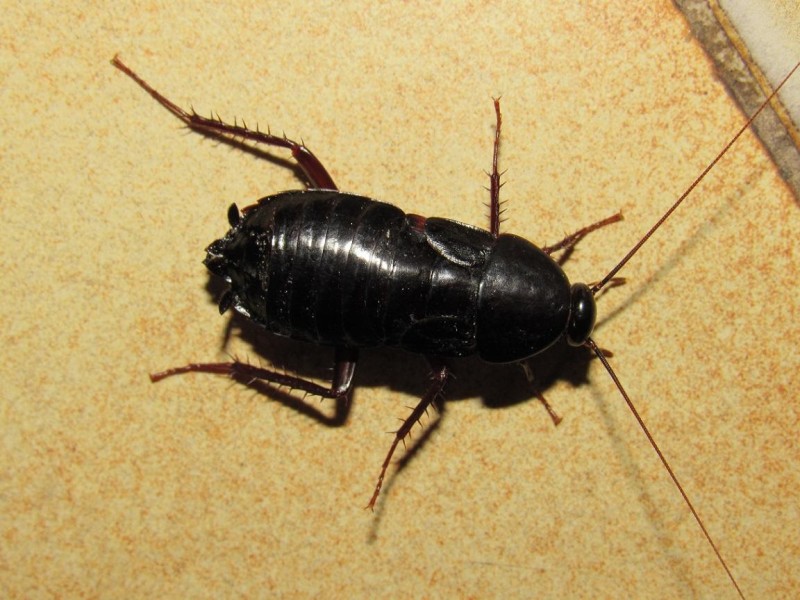 58aaf67413-42.jpg