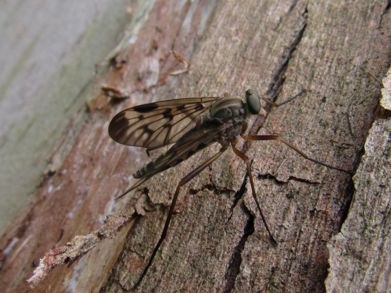58d10aefb4-img_6275.jpg