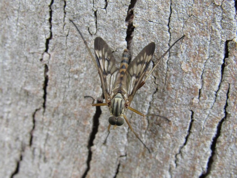 58d10af876-img_7124.jpg