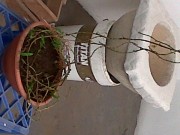 5928a5215611227.jpg