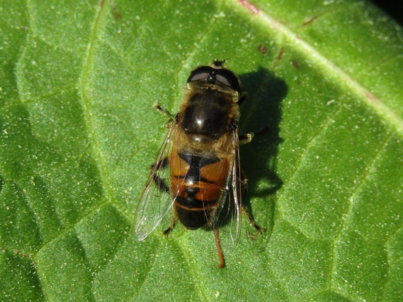 594c181e27-23.jpg