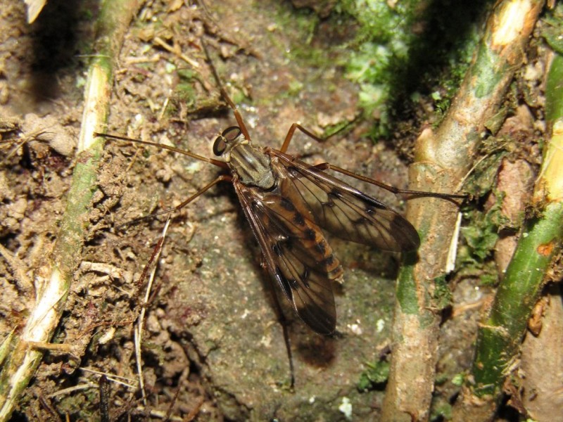 5951accd40-263.jpg