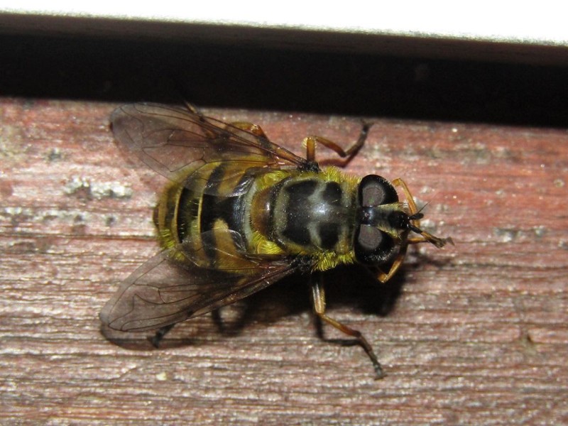 5951b51c6e-282.jpg