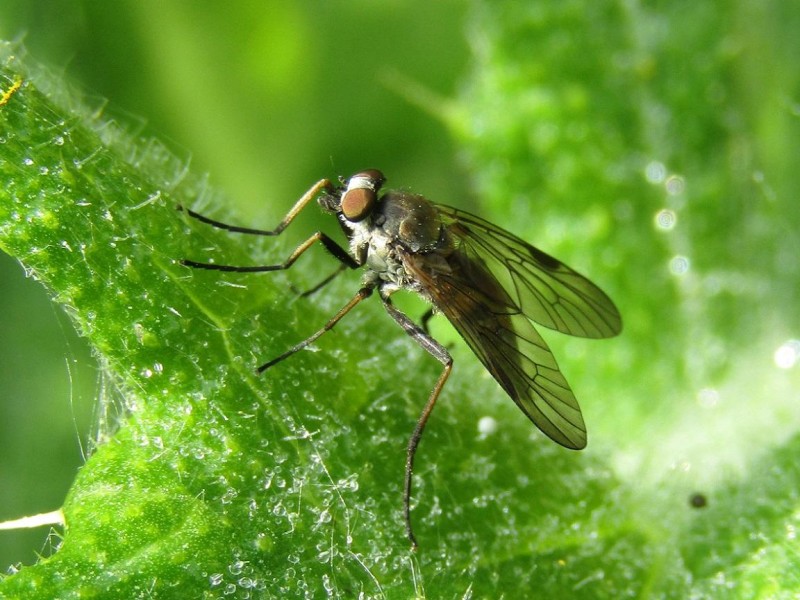 595fe12532-10.jpg