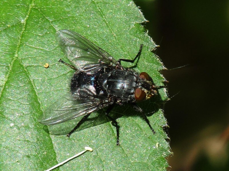 595ffb1573-78.jpg