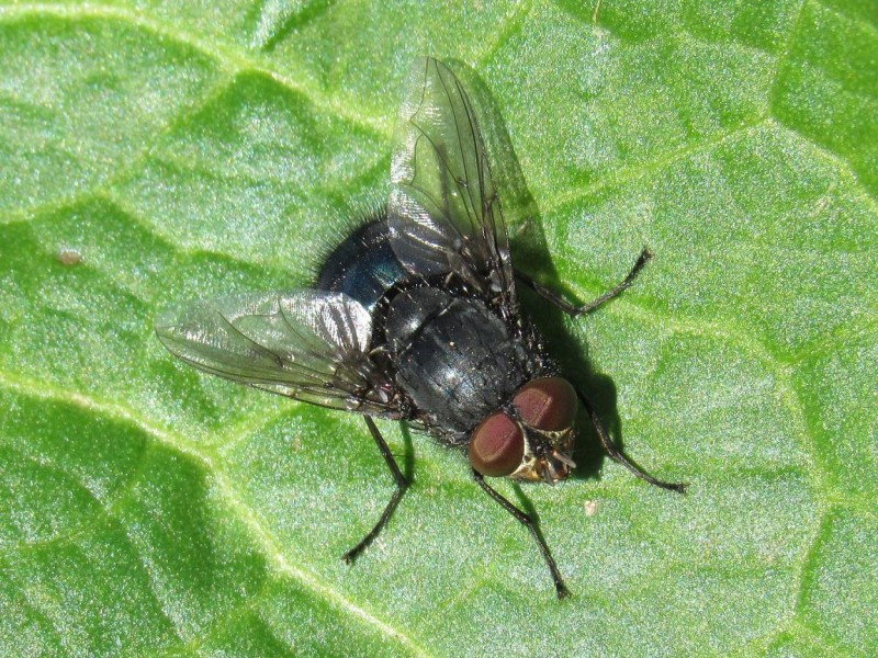 5960146538-img_4515.jpg