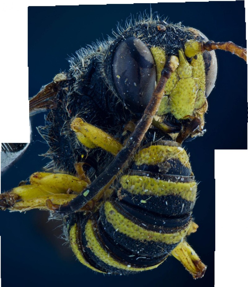 597e848b78-bn31.jpg