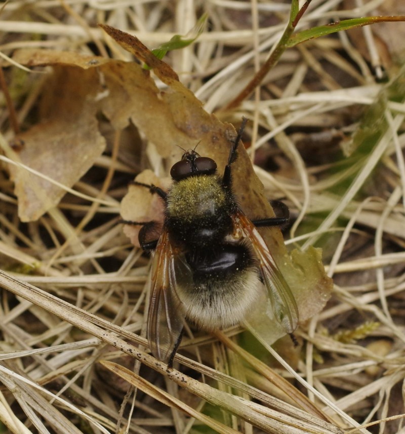 598389bf24-mosca05xun.jpg