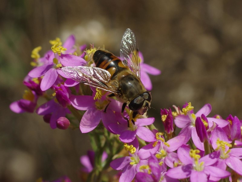 598abed816-mosca08ago2.jpg