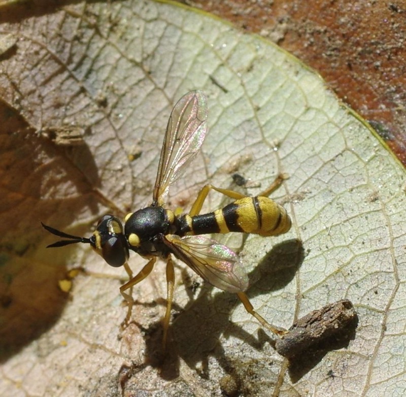 59930ee06b-mosca15ago1.jpg