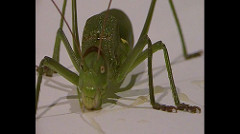 5995578570_fe907100e7_m.jpg