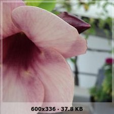 5a4a80764e7ba890cfce449037200525o.jpg