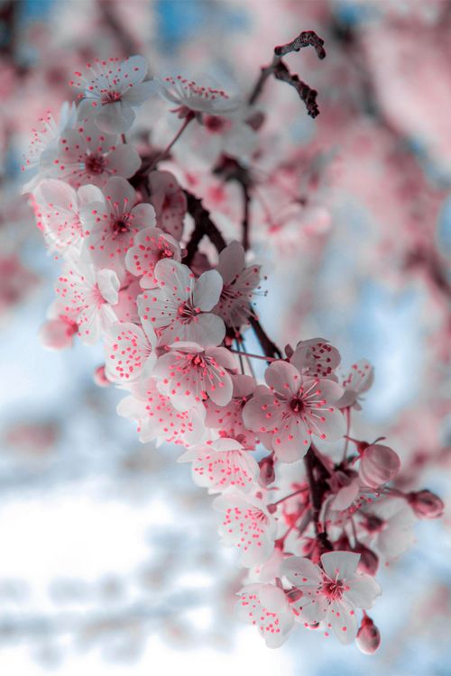 5a7bf75063d62a8f4d26c2330c1e72d6.jpg