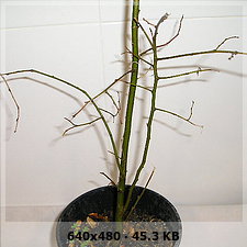 5a9b98a83a54c07d09f9e661a1c3be70o.jpg