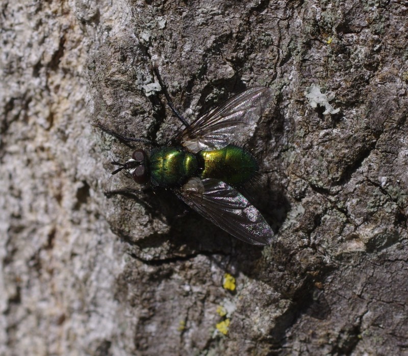 5ab40650b0-mosca22marz7.jpg
