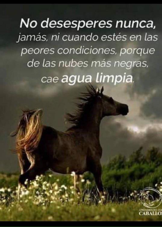 5acc77854cf50_Nodesesperes..thumb.jpg