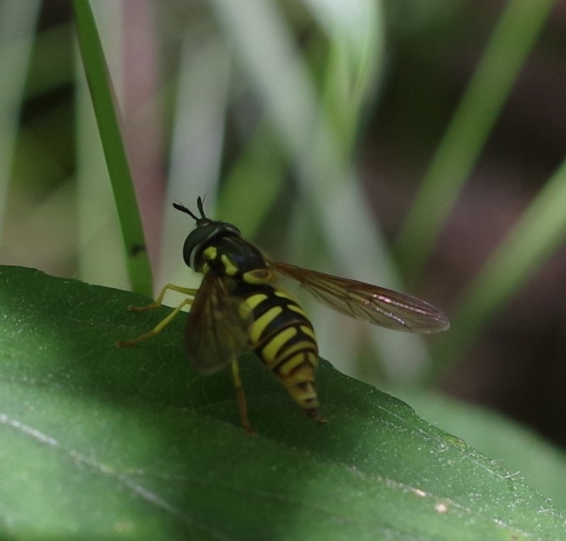 5b30863e6d-mosca24xun.jpg