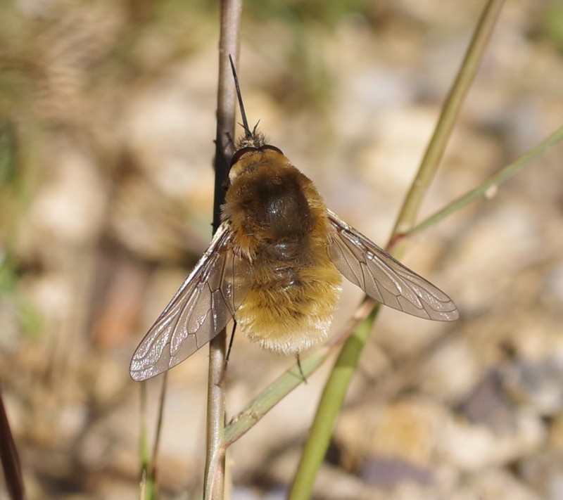 5b4300a628-mosca08xull.jpg